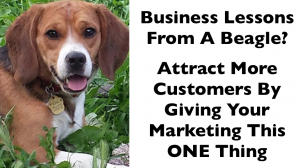 beagle business marketing